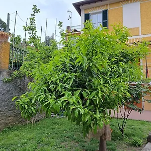 Affittacamere Antonella , Monterosso al Mare Italia